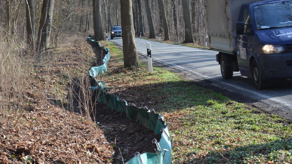 Schutzzäune für Frösche in Güstrower Heidbergen NNN