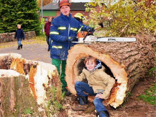 Hohler Baum Droht Zu Kippen Einsatz F R Das Thw Aus Burg Shz