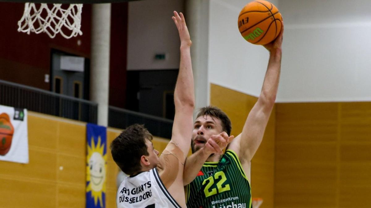 Basketball Bundesliga Sc Rist Wedel Gewinnt In D Sseldorf Shz