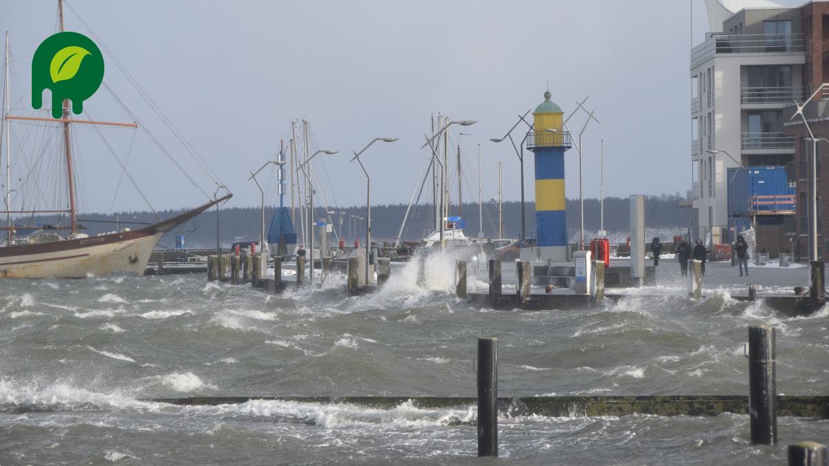 Sturmflut in Eckernförde Wie Lage ist und was man tun kann SHZ