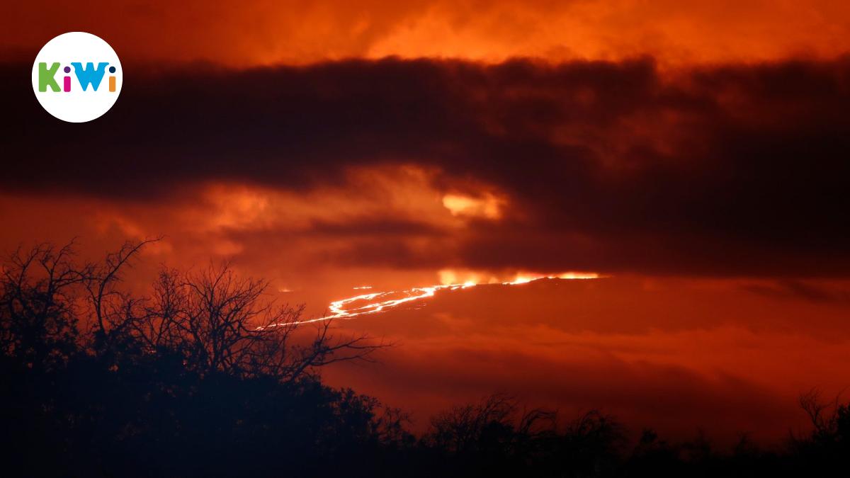 Vulkanausbruch Vulkan Mauna Loa Auf Hawaii Spuckt Wieder Lava Noz