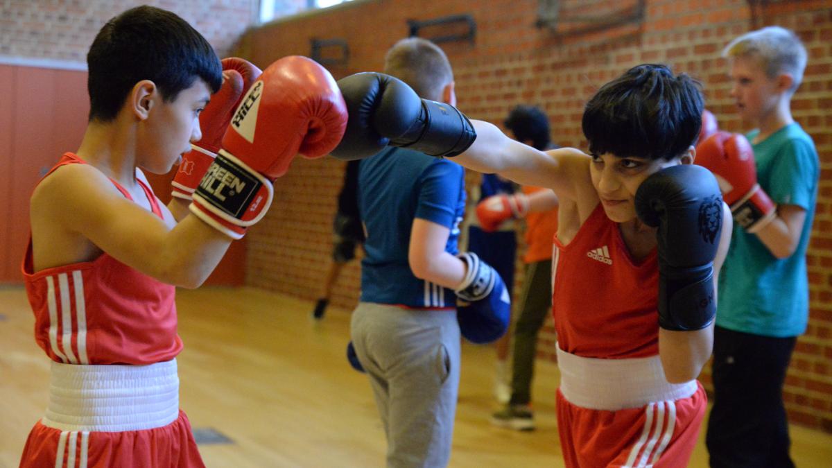 Boxen SG 03 Ludwigslust Grabow Bei Norddeutscher Meisterschaft SVZ