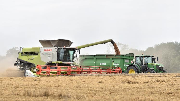 Wetter Belastet Landwirte In NWM Getreide Zu Feucht Zur Ernte SVZ