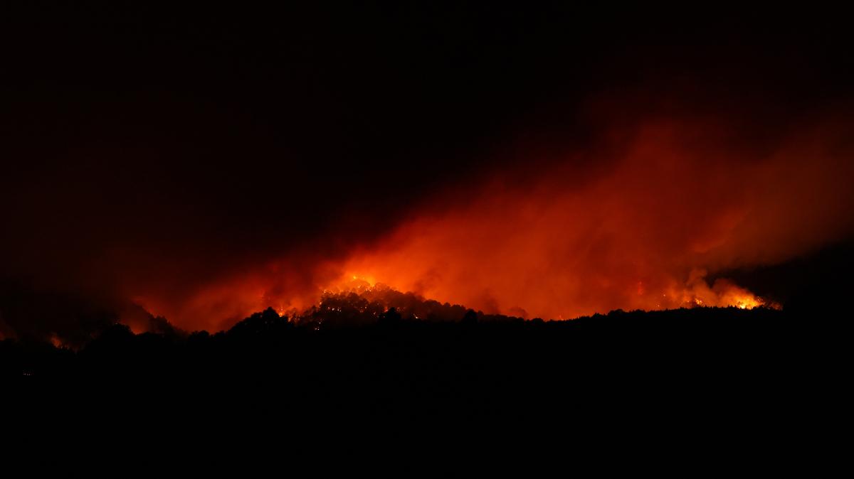 Waldbrände auf Teneriffa Feuer breiten sich langsamer aus NOZ