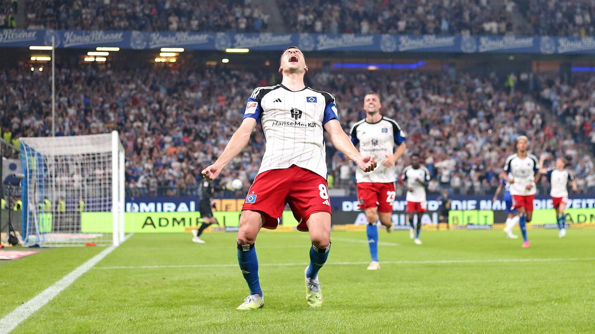 2 Bundesliga Hamburger SV nach Sieg über Hertha Tabellenführer SHZ