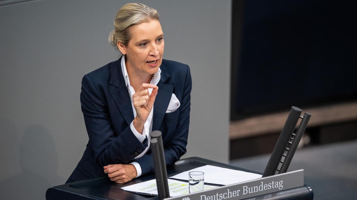 Alice Weidel Plagiatsvorw Rfe Gegen Afd Politikerin Noz