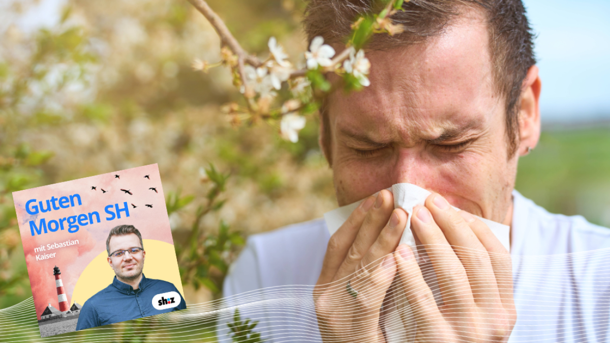 Frühling ist Pollenzeit warum es immer mehr Allergiker gibt SHZ