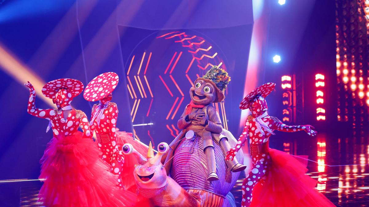 Cette star de la comédie remporte le spectacle ProSieben The Masked