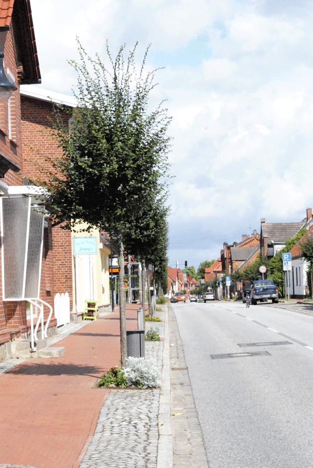 Es ist eng im Zentrum der Stadt. Die Straßenbäume in der Hauptstraße sind exakt geschnitten, im Vorbeifahren sozusagen. 