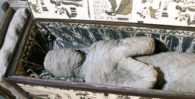 Die Mumie aus Diepholz ist nicht 2000 Jahre alt, sondern ein präpariertes Plastikskelett. Fotos: Lutz Wolfgang Kettler