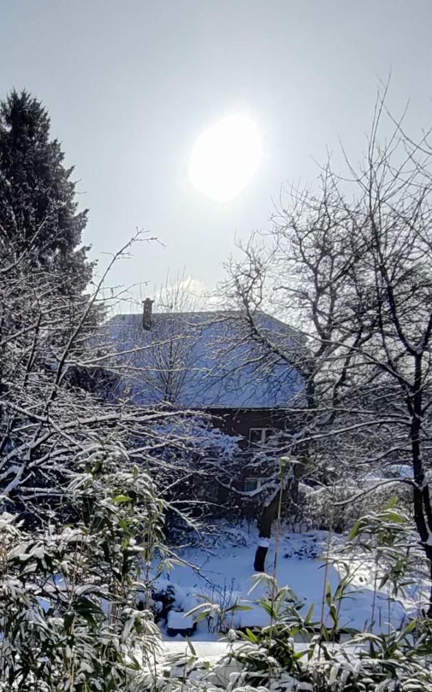 Sonne und Schnee in Osnabrück