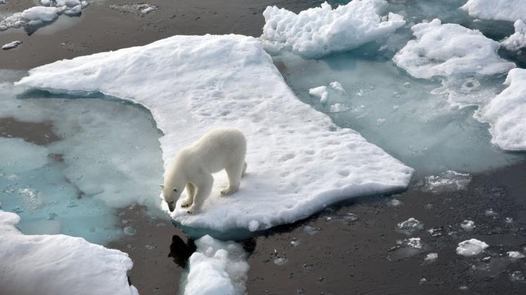 Im Nordpolarmeer schmilzt das Eis, anderswo wird es mehr Dürren geben, erwarten die Fachleute vom Weltklimarat.