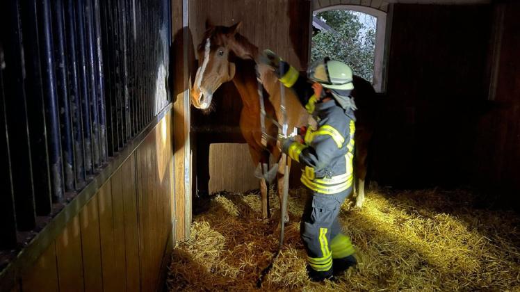 Das Pferd macht große Augen, als ein Feuerwehrmann in voller Montur vor ihm steht. Es lässt sich dann aber herausführen.
