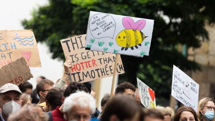Sympathieträgerin Biene: Sie hätte "schon Bock, hier noch länger zu leben", wie auf diesem Plakat bei der Klimademo am Freitag in Osnabrück zu lesen war.