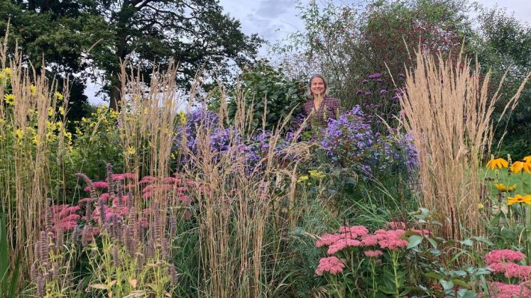 Herbst im Garten Pflanzzeit für Stauden, Rosen und Sträucher SHZ