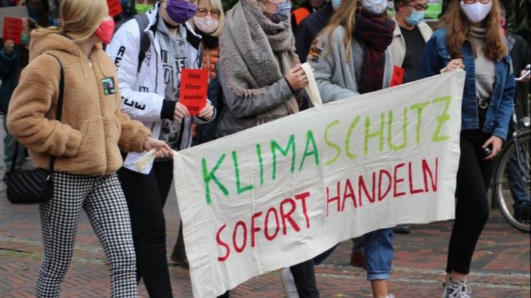 An dem Klimastreik im vergangenen Jahr in Papenburg beteiligten sich rund 120 Aktivisten. (Archivfoto)