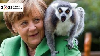 Bundeskanzlerin im Affenstall: Angela Merkel füttert beim Besuch des Vogelparks Marlow in Mecklenburg-Vorpommern 2015 einen Lemuren auf der Madagaskaranlage.