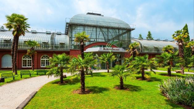 Grüne Oase: Der Palmengarten ist einer von drei botanischen Gärten in Frankfurt am Main. 