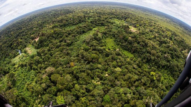 Blick aus dem Hubschrauber: Der Amazonas-Regenwald an der Grenze zwischen Brasilien und Kolumbien.