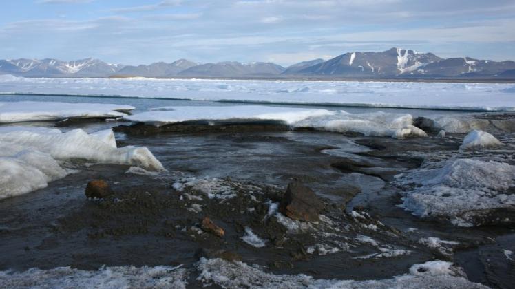Das kleine noch unbenannte Eiland am nördlichsten Zipfel Grönlands ist möglicherweise die wohl nördlichste Insel der Welt - entdeckt wurde sie von Forschern der Universität Kopenhagen.