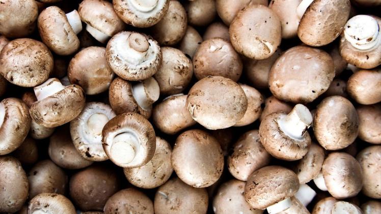 Creme Champingnons creme champingnons BLWS641184 *** Cream champingnons cream champingnons BLWS641184 Copyright: xblickw Champignons sind beliebt – aber nur schwer frisch zu halten.
