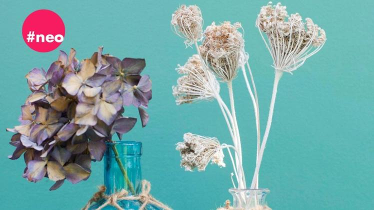 Sträuße aus Trockenblumen sind im Trend und man kann sie auch einfach zu Hause herstellen.