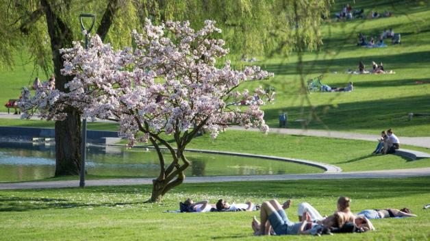 Fünf Tipps für den perfekten Tag in Bielefeld NOZ
