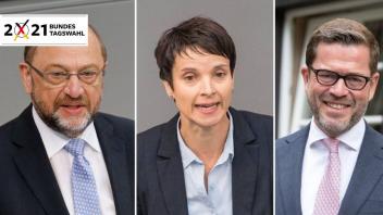 Sie hatten Großes vor und haben es nicht geschafft: Martin Schulz, Frauke Petry und Karl Theodor zu Guttenberg.