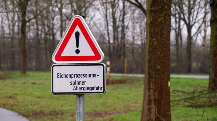 An vielen Orten im Emsland findet man Warnschilder gegen den Eichenprozessionsspinner. Die Stadt Haren wendet mehrere Methoden zur Eindämmung an.