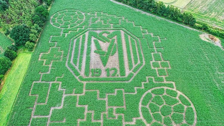 Der Hof Meutstege in Haren hat das traditionelle Maislabyrinth eröffnet. Bei einem Besuch auf dem Ferienhoff haben uns die Besitzer erklärt, was der SV Meppen mit dem Maislabyrinth zu tun hat.