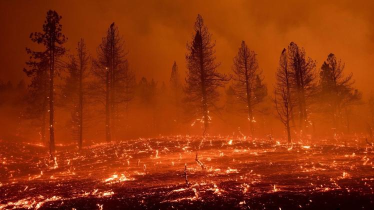 Glut weht über ein Feld in Kalifornien. Dort kommt es aufgrund von Hitze und Trockenheit immer häufiger zu verheerenden Bränden. Der Weltklimarat stimmt gerade seinen neuen Bericht zum Stand des Klimawandels ab.