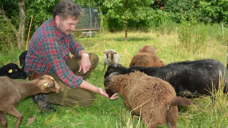 Jörg Langen und seine Familie halten Schafe heute in erster Linie als Fleischlieferanten und "Landschaftspfleger". Die kleinen Ouessants aus der Bretagne sind allerdings das Hobby seines Sohnes Joshua.
