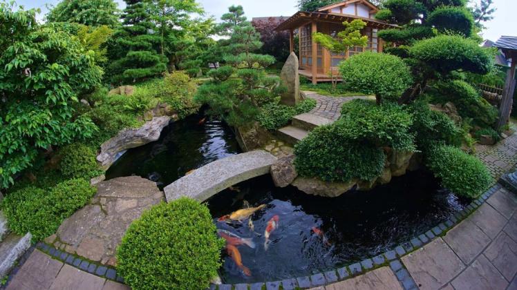 Martin Dreier sieht sich mehr als „Landschaftsgestalter“ denn als „Landschaftsgärtner“ sei. Er kreiert als Ein-Mann-Unternehmen Oasen, die Landschaftsbildern nachempfunden sind. Seinen eigenen Garten hat er im japanischen Stil gestaltet.