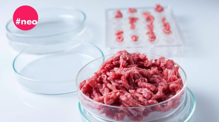 Im Labor erzeugtes Fleisch ist längst Wirklichkeit. Doch wann landet es auf unseren Tellern?