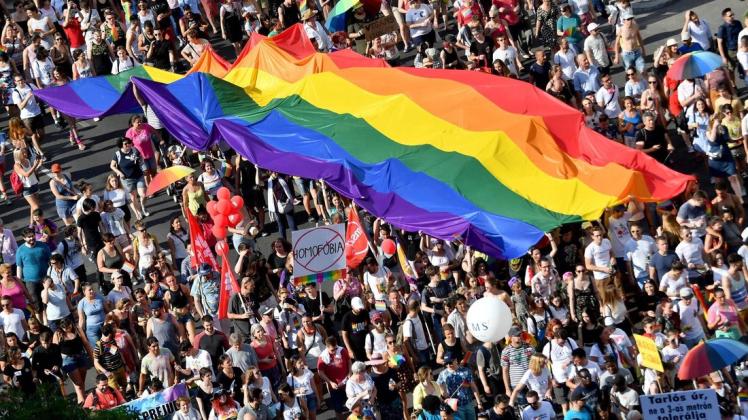 Pride Parade 2019 in Budapest: Ungarns Regierungschef will sich nun von der Bevölkerung die Zustimmung für ein umstrittenes LGBTQ+-Gesetz einholen.