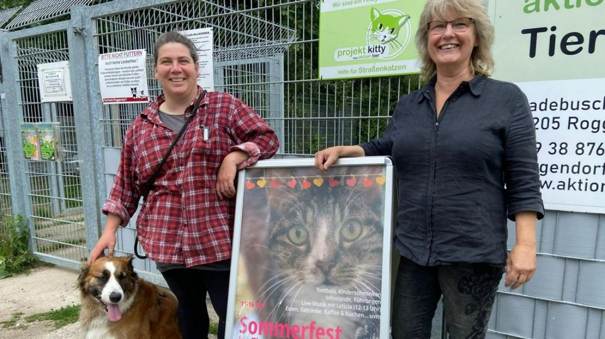 Tierschützer aus Roggendorf rüsten sich für das Sommerfest | SVZ
