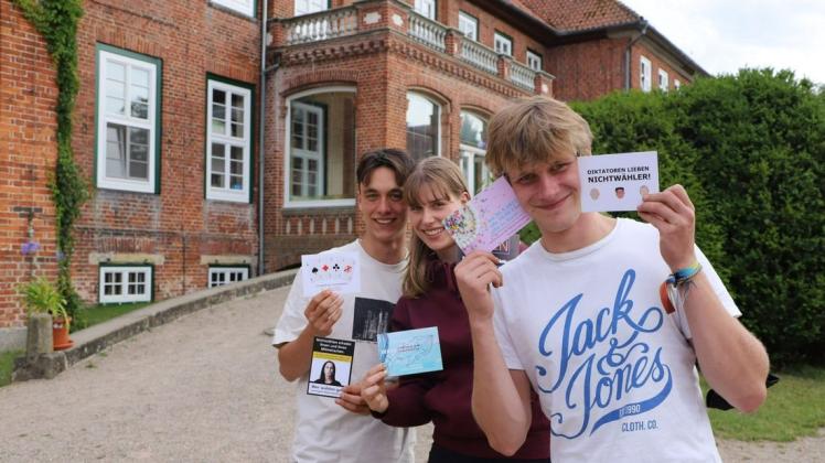 Drei der Freiwilligendienstler der Begegnungsstätte Schloss Dreilützow, die sich kreative Wahlaufrufe haben einfallen lassen.