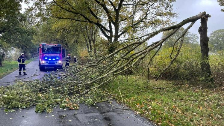 Zwischen Besitz und Kuhlenfeld war ein Baum umgeknickt und blockierte die Straße. Zwischen Besitz und Kuhlenfeld war ein Baum umgeknickt und blockierte die Straße.