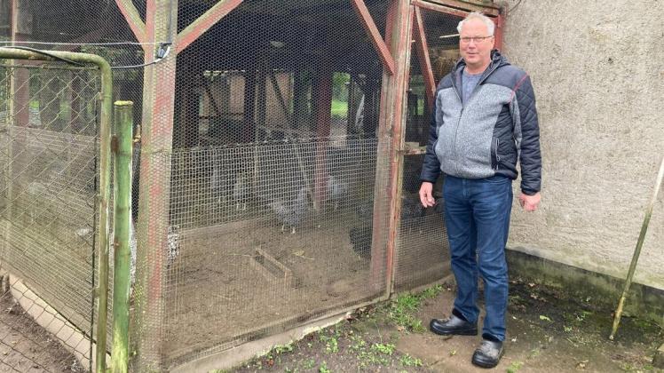 Schon als Kind war Uwe Röbke von den unterschiedlichsten Rassen von Hühnern und Enten begeistert. Heute ist er der Vorsitzende des Rassegeflügelvereins in Crivitz und hält selbst rund 60 Tiere in seinem Garten.