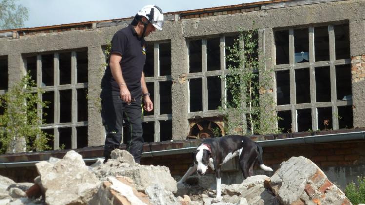 Die Vierbeiner der Hundestaffel werden auch darauf trainiert, in Trümmern nach verschütteten Menschen zu suchen.