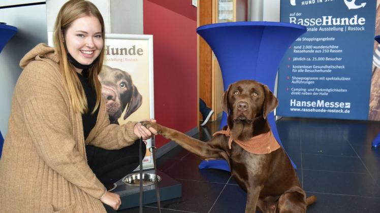 Das Gesicht der diesjährigen internationalen Hundemesse ist die zweieinhalbjährige Labrador-Retriever-Hündin Lotte. Sie unterstützt Franziska Wald als Therapiehund auf der Insel Rügen.