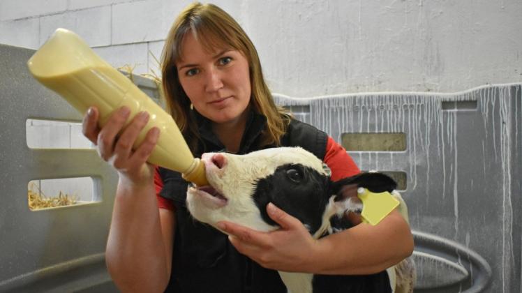 Für eine gute Versorgung mit der richtigen Milch in ausreichender Menge sorgt Juliane Schwarz bei den Kälbern der Agp Lübesse.