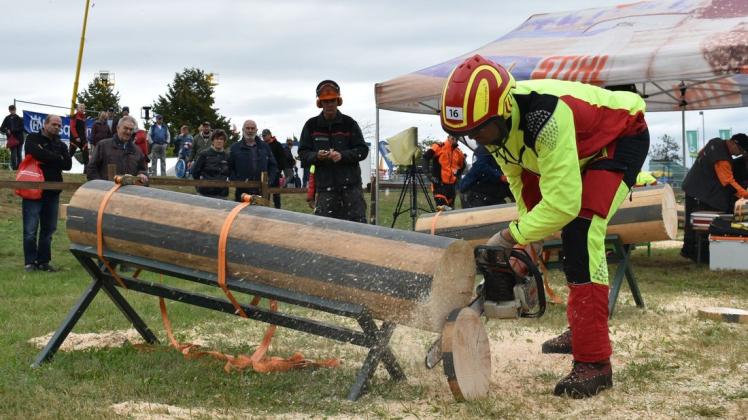 Kombinationsschnitt: Ein Waldarbeiter sägt bei der Landesmeisterschaft auf der Mela eine Scheibe Holz ab.