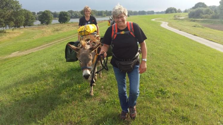 Jedes Jahr im September treffen sich die Freundinnen mit ihren Eseln zum Wandern. Dieses Jahr ging es an die Elbe.