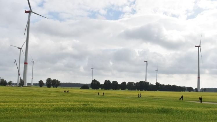 Auf zu den Riesen: Am Sonnabend wurde der Windpark Hoort offiziell mit einem Fest für die Anwohner der Gemeinde und die Projektbeteiligten eingeweiht.