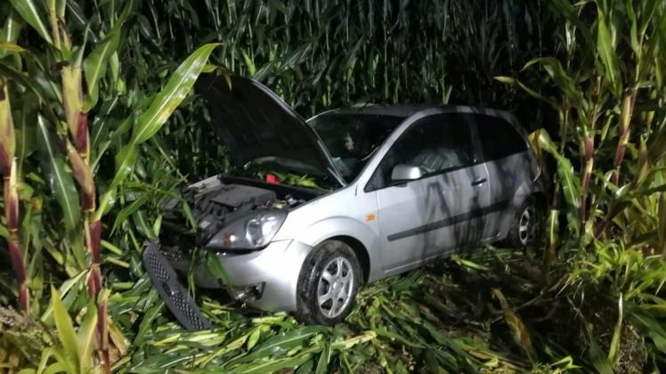 Das Auto kam von der Straße ab und landete in einem Maisfeld.