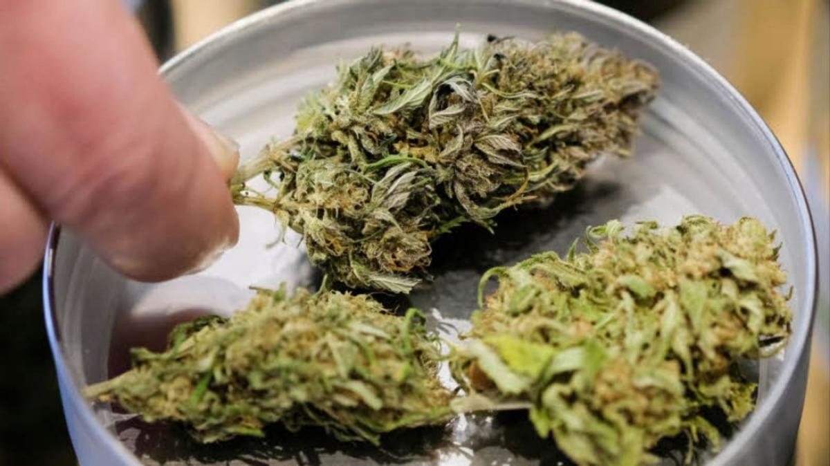 Cannabis gegen Rückenschmerzen und Depressionen SHZ