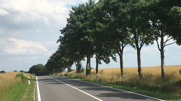 Auf einer Strecke von acht Kilometern an der B108 zwischen Laage und Neu Heinde wird der Radweg gebaut.