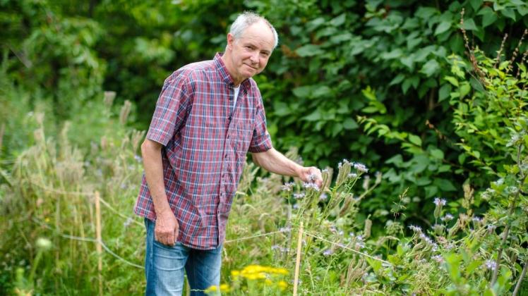 Seit nunmehr drei Jahrzehnten begeistert sich Peter Wolf für seinen Naturgarten.