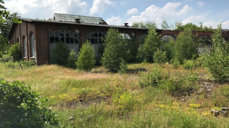 Hier will ein Investor ein neues Wohnquartier aus dem Boden stampfen: Ruine der Wartungshalle und verwildertes Gelände zwischen Bahnlinie, Winterweg und Frühlingsweg in Delmenhorst. Hier will ein Investor ein neues Wohnquartier aus dem Boden stampfen: Ruine der Wartungshalle und verwildertes Gelände zwischen Bahnlinie, Winterweg und Frühlingsweg in Delmenhorst.